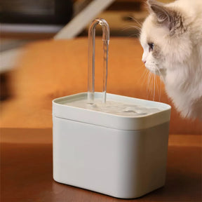 Fonte de água bebedouro para gatos AquaCat